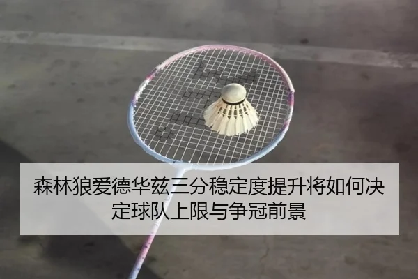 森林狼爱德华兹三分稳定度提升将如何决定球队上限与争冠前景